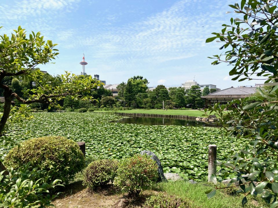 印月池より見える京都タワー