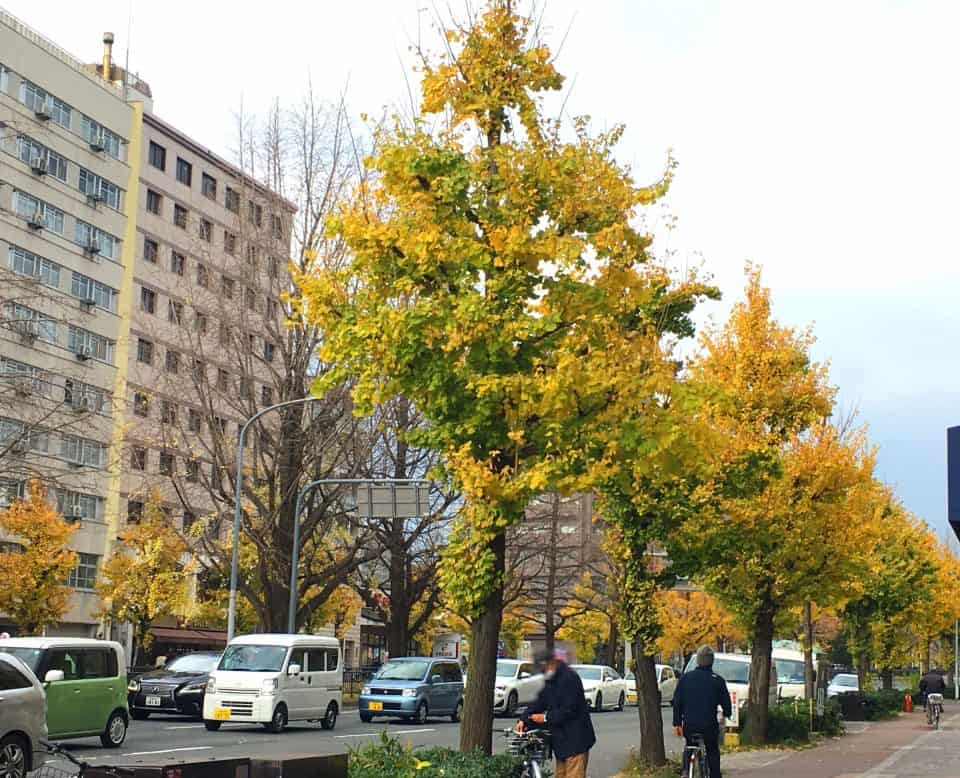 球技の神様 白峯神宮 ～京都スポーツ巡礼１～  KCTP  京都駅徒歩3分 