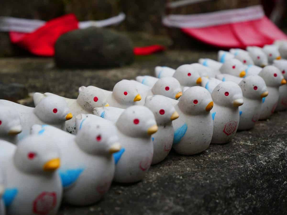 六角堂のはとみくじ